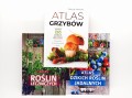 trzy atlasy.jpg
